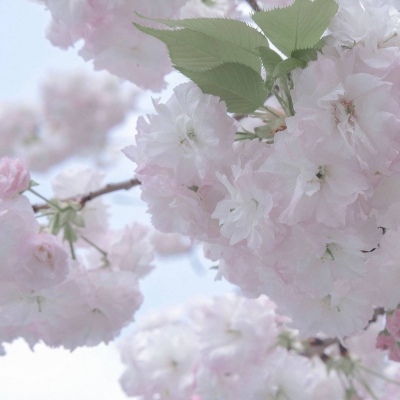 Furry兽设设计实用干货福瑞群